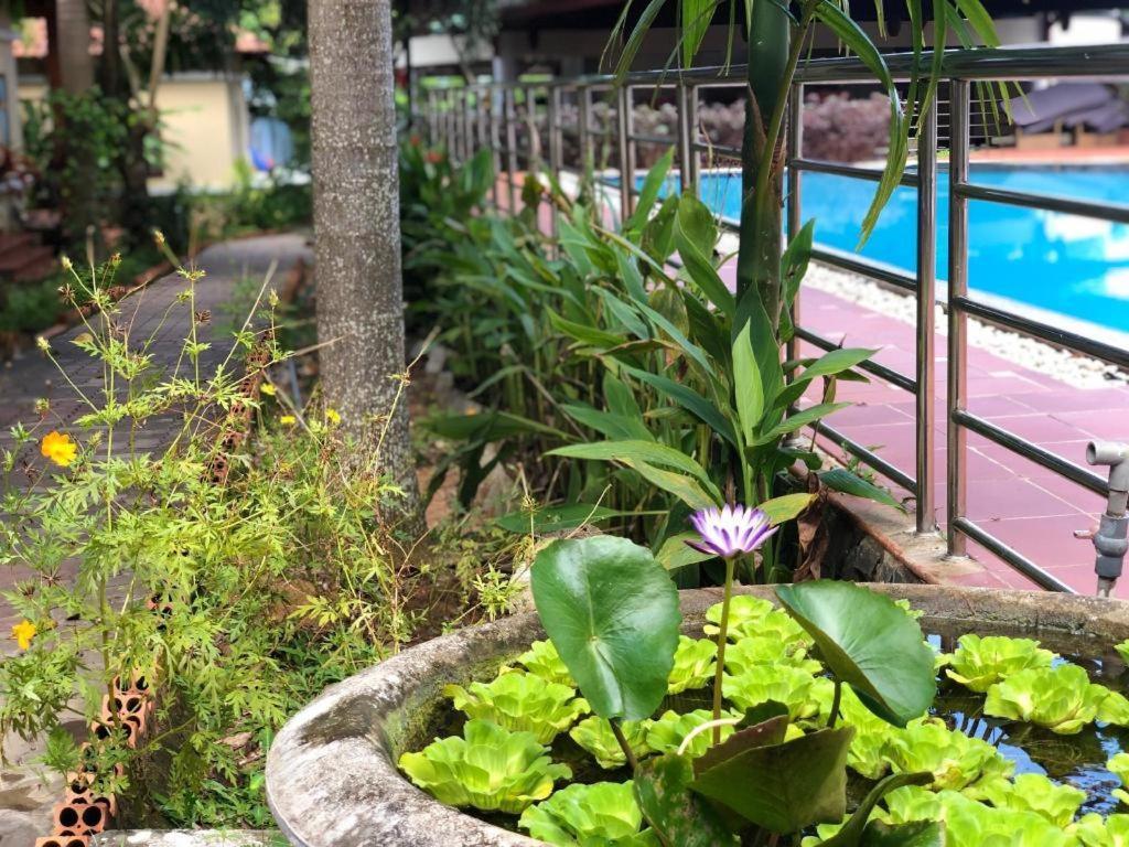 Castaways Resort Duong Dong Exterior foto